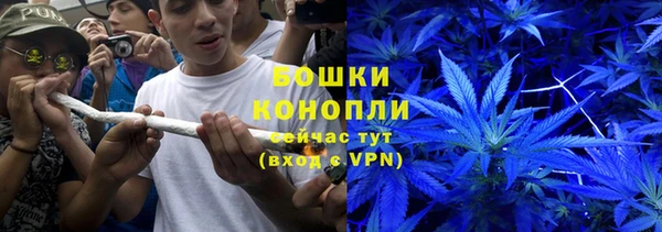 сатива Балабаново
