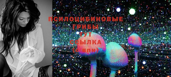 молекула духа Беломорск