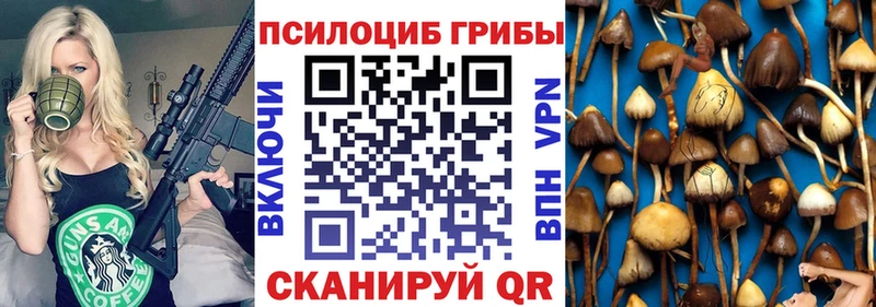 blacksprut как зайти  Катайск  Галлюциногенные грибы Magic Shrooms 